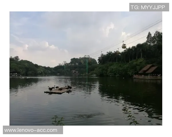 挑战赛特别报道：广州篮球队的逆袭之旅
